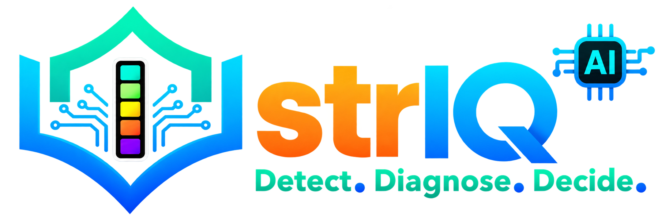 STRIQ — Detect. Diagnose. Decide.